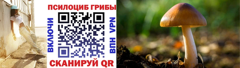 Галлюциногенные грибы Magic Shrooms  Купить закладки  Чебоксары 